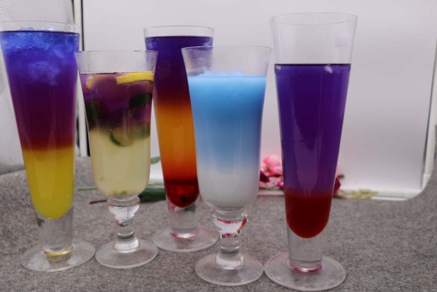 广州泰国蝶豆花培训