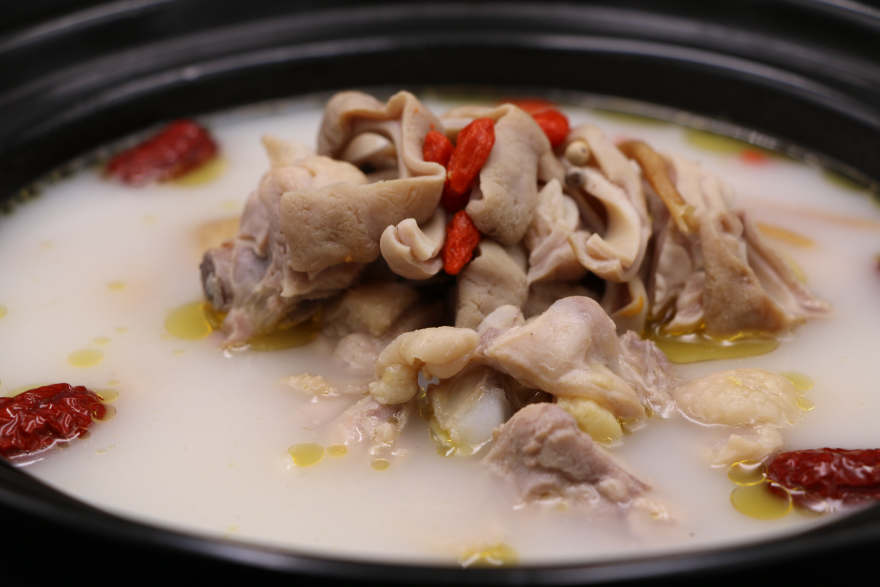 广州猪肚煲鸡培训
